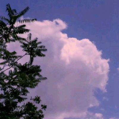 澳门新莆京游戏